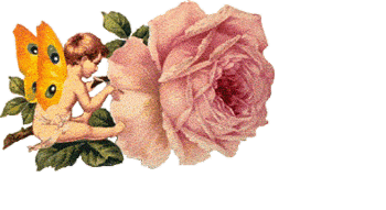 joyeux anniversaire rose rose
